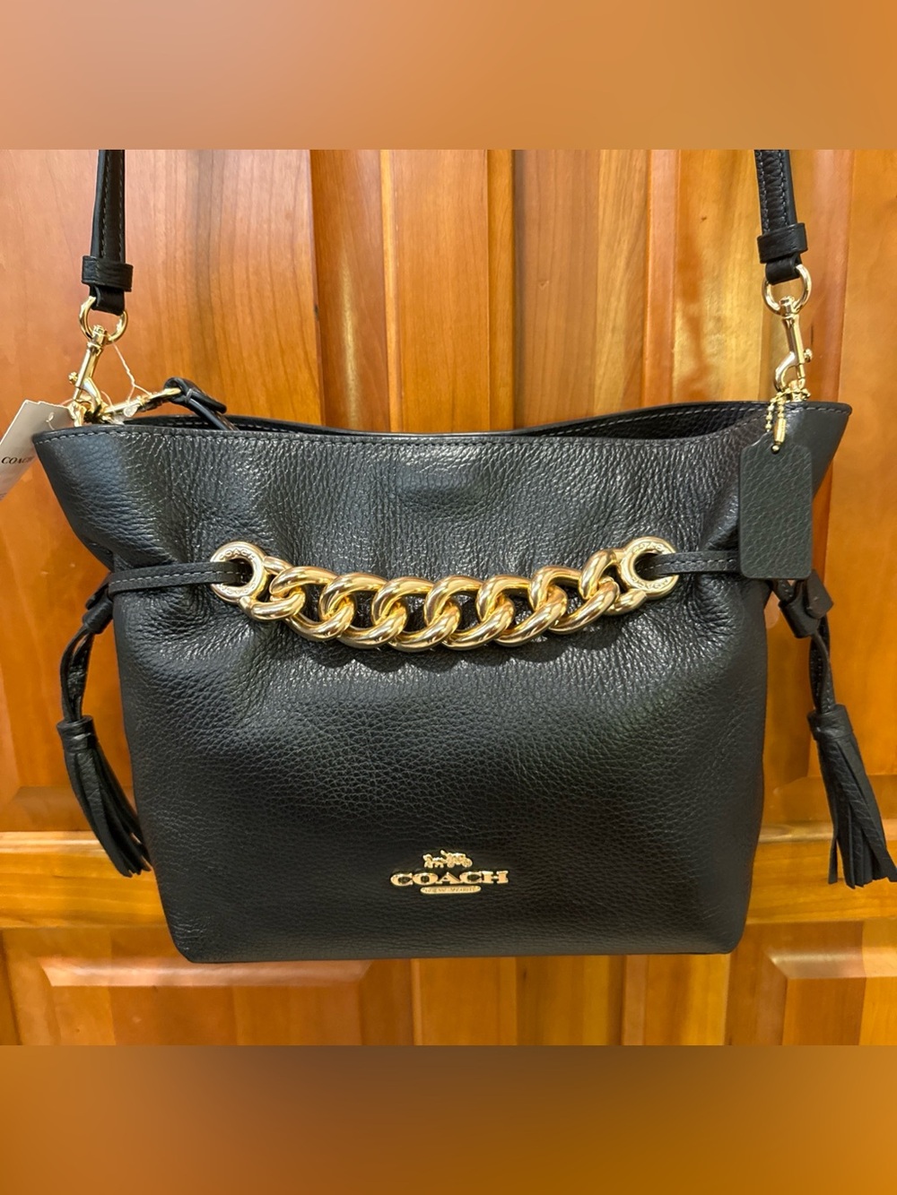 Coach Andy Hand Bag Pebble Leather Black Crossbody CE555 - NWT
